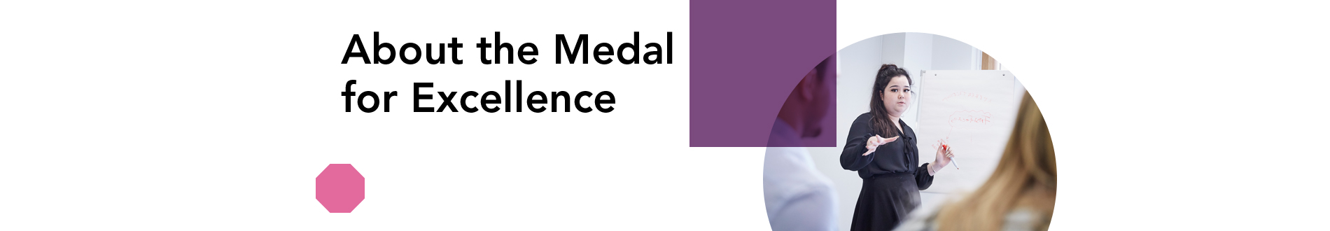 Z_about-the-medal-for-excellence_1900x330 jpg