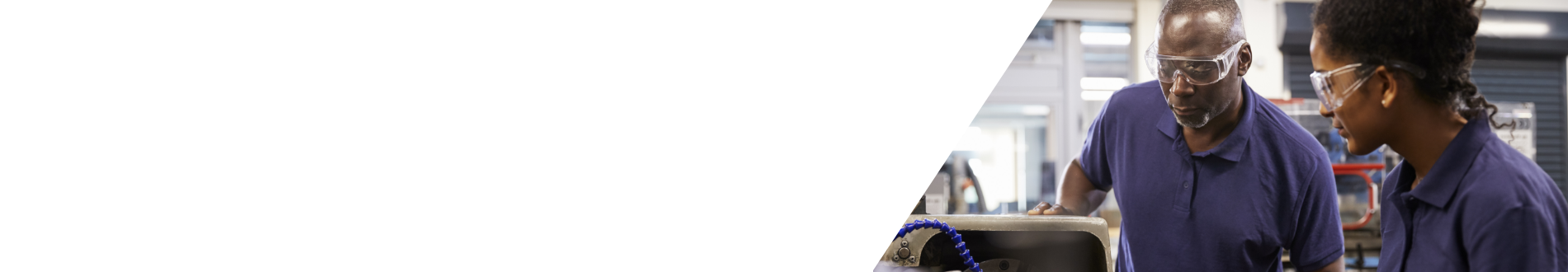 Wales webpage banner