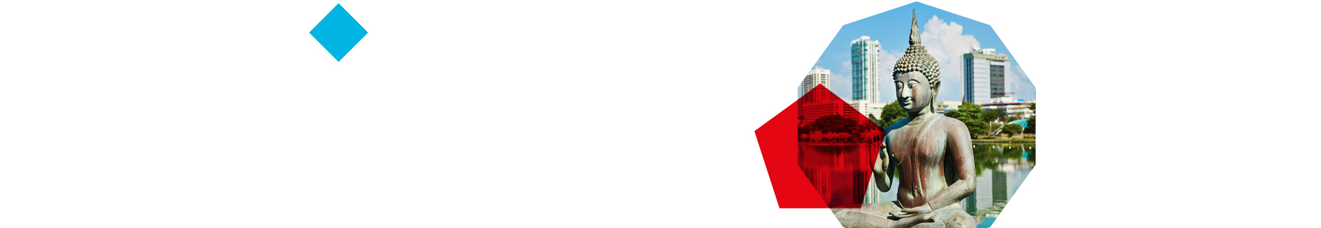 south asia banner