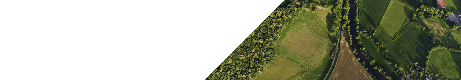 t level land web banner