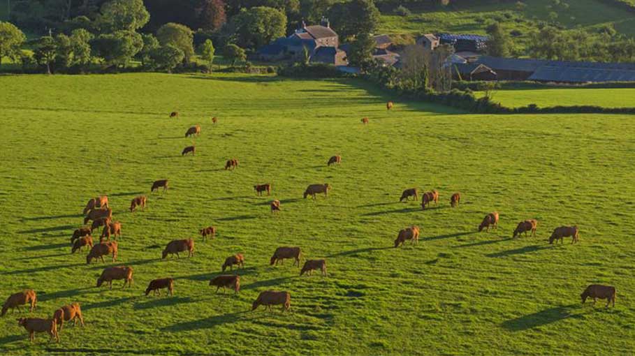 land based services cover